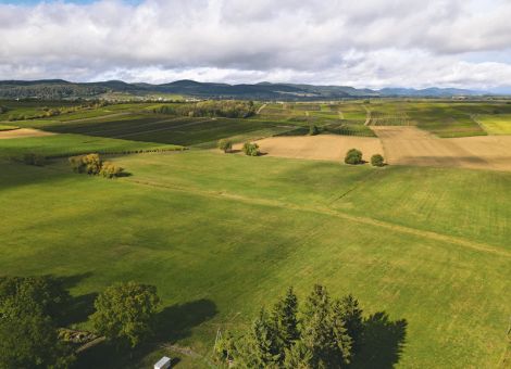 Vielfältige Herausforderungen für die Landwirtschaft