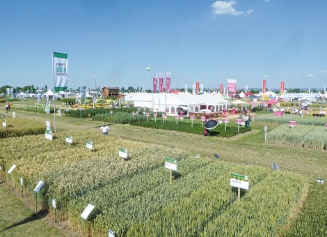 Herausforderungen und Effizienzpotenziale