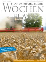 Ausgabe 24/2026