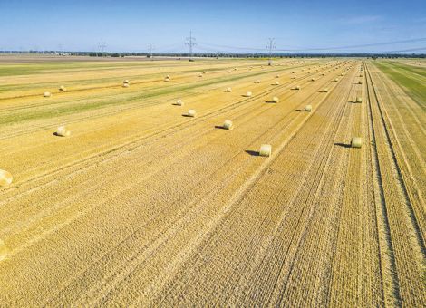 Finanzierung der Landwirtschaft wird schwieriger