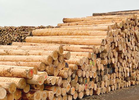 Neue RVWV, neues Maß für die Holzvermarktung