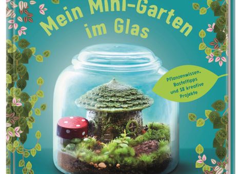 Mein Mini-Garten im Glas
