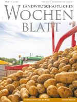 Ausgabe 25/2026