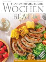 Ausgabe 26/2026