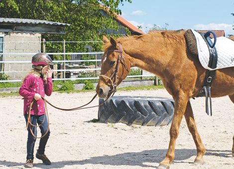 Reitbeteiligung für Kinder