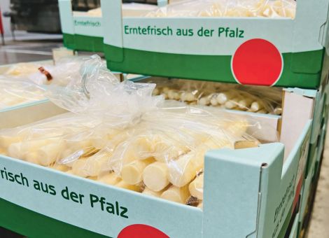 Pfälzer Bauern meistern schwierigen Saisonverlauf