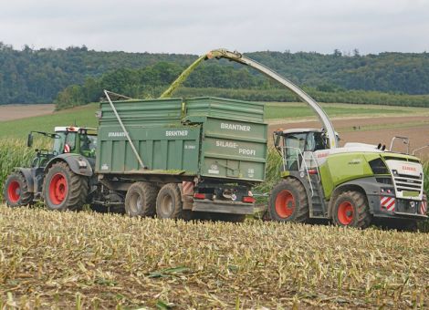 Ungenutztes Potenzial beim Rohprotein- und Energiegehalt