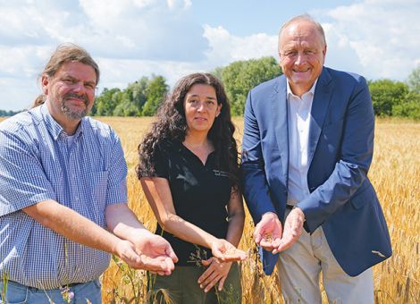 Bauernverband rechnet mit durchschnittlicher Ernte