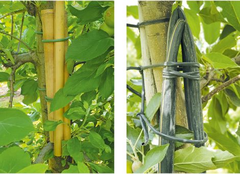 Biodiversität im Obstbau stärken
