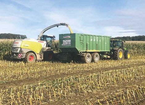 Mais in hoher Qualität ins Silo bringen