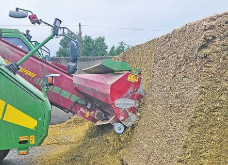 TS-Schwankungen am Siloanschnitt hoch