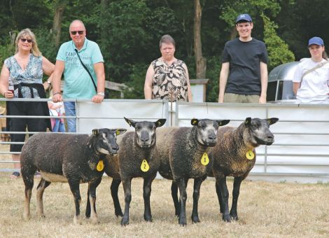 Schaf-Show – sieben Betriebe und sieben Rassen
