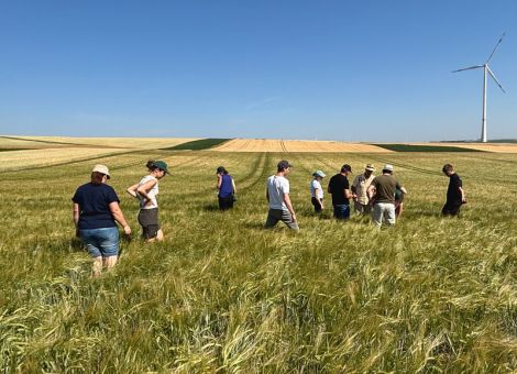 TA begutachtet neue Braugerstensorte Tilda