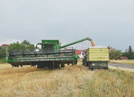 Leguminosen für den eigenen Hofladen