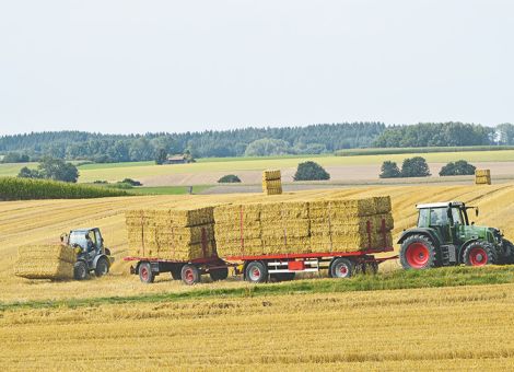 Was ist Stroh für meinen Betrieb wert?