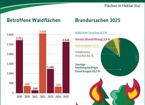 Europa erlebt ein Jahr der Waldbrände