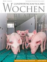 Ausgabe 33/2026