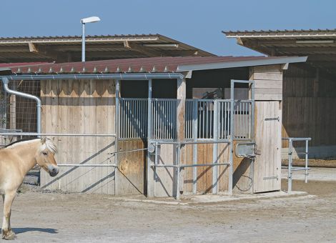 Kraftfutterautomaten: kleine Portionen, große Vorteile