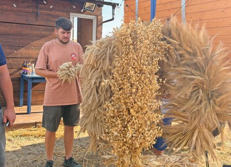 Landjugend Friedberg bindet erneut Erntekrone