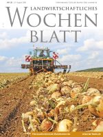 Ausgabe 35/2026