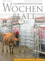 Ausgabe 36/2026
