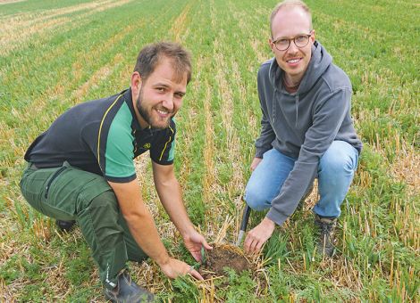 Zwischenfruchtanbau bei Hitze und Trockenheit