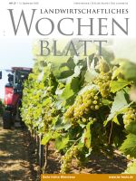 Ausgabe 37/2026
