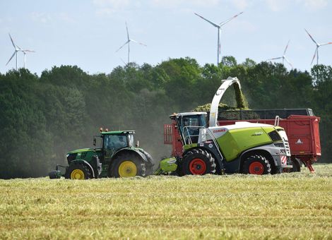 Rohproteingehalte gut, Energiegehalte sehr gut