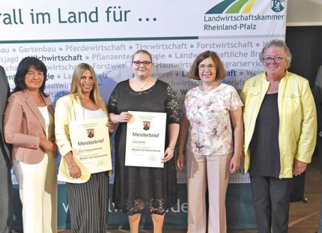 Die meisterhafte Zeit beginnt jetzt