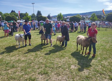 Große Rassevielfalt im Ring präsentiert
