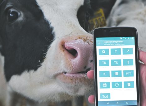 Daten sind zuverlässiger als das Gefühl
