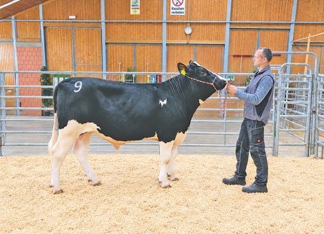 Qualität und breites Käuferinteresse in Alsfeld