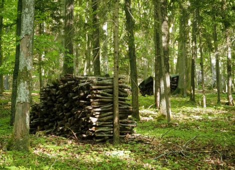 Submissionstermine für Rheinland-Pfalz