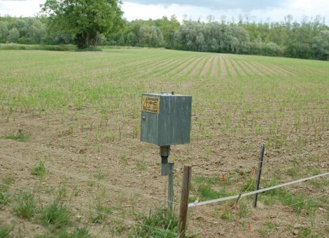 Reserve für Extremhochwasser in der Hördter Rheinaue