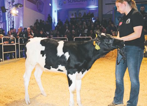 Erster Milking Masters Sale in Fließem