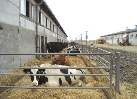 An die Stallmaße anpassen