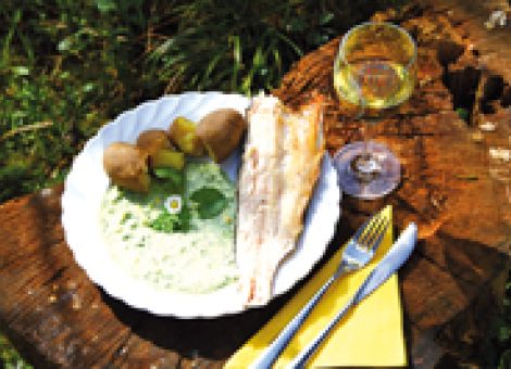 Traditionelle &bdquo;Grüne Soße&ldquo;