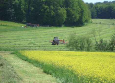 Ausgleichszulage würde nach EU-Plänen massiv umverteilt