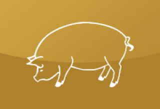 Lüftung auf
Sommerbetrieb stellen –