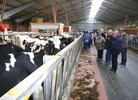 Über Zucht und Vermarktung in Ostfriesland informiert