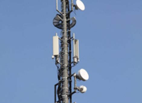 DBV erwartet raschen Netzausbau auf dem Land
