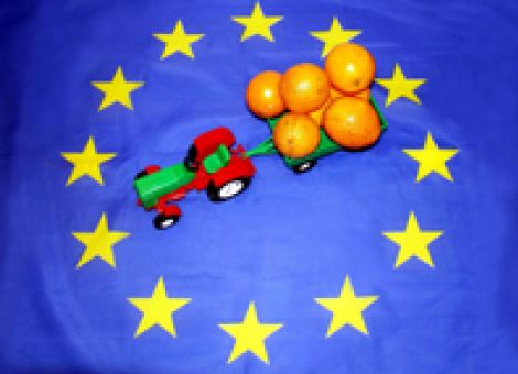 EU-Standards im Welthandel verteidigen?