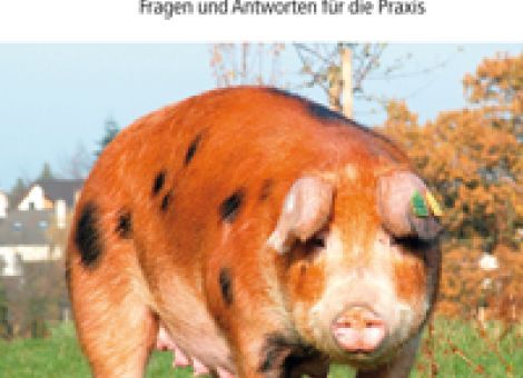 Hygiene-Verordnung für die Schweinehaltung