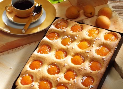 Aprikosenkuchen