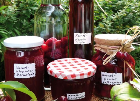 Kornelkirschen