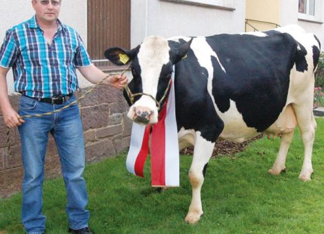 In der Nordspitze Hessens liegt im Diemeltal der Betrieb von Frank Schröder in Deisel. Hier steht die Blacknat-Tochter Perle, die als erste Kuh auf diesem Betrieb die Menge von 100 000 kg Milch geschafft hat. Dieses außergewöhnli­che Leistungsvermögen ist ihr sicherlich von beiden Elternteilen mitgegeben worden. Der Vater Blacknat gehörte zu den besten Bullen hinsichtlich der Vererbung für Nutzungsdauer und ihre Mutter Petra brachte es auf sechs Lakta­tio­nen und eine Durchschnittsleistung von über 11 000 kg Milch. Auch bei Perle genügten sieben Abkalbungen, um mit einem Durchschnitt von 10 600 kg Milch diese Leistungsgrenze zu übertreffen. Maßgeblich zur Fitness von Perle und ihrer Herdengefährtinnen beigetragen haben außer die sehr gute Versorgung der Kühe auf dem Hof von Frank Schrö­der, auch die günstigen Haltungsbedingungen im eingestreuten Laufstall. Jost Grünhaupt, LLH Kassel
