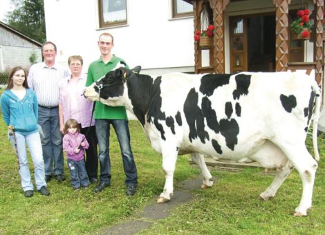 Im Zuchtbetrieb der Familie Eberhard Mehler in Hilders-Steinbach überschritt kürzlich die Holsteinkuh Ruth als vierte Kuh der Herde die hohe Dauerleistungsgrenze von 100 000 Liter Milch. Ruth ist 1996 im Betrieb Mehler geboren und stammt von dem in Hessen getesteten Blackstar-Sohn Blackfield ab. Ihre Mutter war eine Tochter des in Hessen gut bekannten Valerian-Sohnes Vagant. Ruth startete mit mittleren Laktationsleistungen und erreichte ihre Höchstleistung von 10 946 kg Milch relativ spät in der zehnten Laktation. Sie wurde in der ersten Laktation mit 82-83-79-82 = 81 Punkten eingestuft. Auffallend ist ihre gute Eutergesundheit, die durch den hohen RZS von 119 Punkten bestätigt wird. Ruth hat bisher zehnmal gekalbt, davon einmal weibliche Zwillinge. Von ihren Nachkommen sind vier Töchter in der Herde Mehler aufgestellt worden, diese konnten aber nicht an die hohe Dauerleistung ihrer Mutter heranreichen. Eine Backham-Tochter wurde zur Zucht verkauft. Wilhelm Vackiner, LLH Alsfeld 