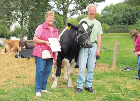 Die Nicky-Tochter „Sandra“ vom Betrieb Hartmut Viering in Bad Arolsen-Landau hat die Lebensleistung von 100 000 Liter Milch überschritten und reiht sich somit in den Club der Dauerleistungskühe ein. Beachtliche 10 881 kg Milch hat die schwarzbunte Holsteinkuh im Durchschnitt der acht abgeschlossenen Laktationen produziert, die höchste Milchmenge erbrachte sie mit 11 763 kg, 3,37 Prozent Fett und 3,32 Prozent Eiweiß in der dritten Laktation. Die Leistungsfähigkeit und Vitalität der Kuh waren auch ein Grund dafür, dass ihre vier weiblichen Kälber auf dem Betrieb Viering blieben und mittlerweile als Kühe der Herde angehören. Im Rahmen des Viehmarktes in Bad Arolsen-Landau, an der „Sandra“ als älteste Kuh der Schau teilnahm, freuten sich Erika und Hartmut Viering über die Ehrung. Ute Ermentraudt, LLH 