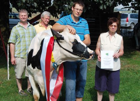 Zu den unauffälligeren Milchkühen allerdings mit sehr hoher Lebensleistung zählt die auf dem Betrieb Görlach in Eberstadt vorgestellte Wombel-Tochter Jani VG 85, die am Ende der neunten Laktation die Rekordmarke knacken konnte. Dabei präsentierte sich die vitale, typische Kuh im mittleren Rahmen und ausgeprägter Rippenpartie. Mit zu der hohen Veranlagung hat ihre Mutter, eine Cleison-Tochter, beigetragen, die auch bei sieben Abkalbungen über 70 000 kg Milch produziert hatte und von der auch die hohen Inhaltsstoffe (4,54 - 3,68) herrühren. „Die Kuh hatte schon immer ihren eigenen Kopf und einen ausgeprägten Durchhaltewillen, sonst wäre sie wahrscheinlich nicht mehr hier“, so Sven Görlach. Jani gehört zu den wenigen Kühen, deren Milch nicht nur in der Molkerei verarbeitet worden ist, denn seit einiger Zeit vermarktet die Familie Görlach auch durchaus erfolgreich Bauernhofeis. Vielleicht gelingt es, die künftig produzierte Milch dieser Dauerleis­tungskuh in Form einer Sonderkreation an die zahlreichen Speiseeiskunden im mittelhessischen Raum zu vermarkten.Text/Foto: Jost Grünhaupt, LLH Kassel