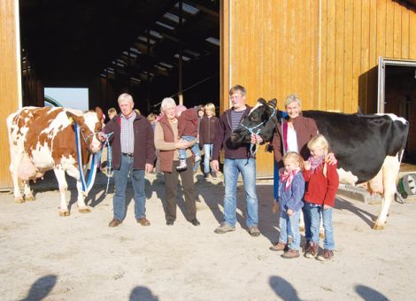 Sehr groß war die Anfrage der Interessenten, als auf dem Hof von Christian Lefringhausen im Volkmarser Ortsteil Külte gleich zwei Kühe mit einer Lebensleistung von über 100 000 kg Milch vorgestellt wurden. Die rotbunte Kuh mit der Nr. 176 VG 85 weist bei elf Abkalbungen eine Durchschnittsleistung von 9 664 kg Milch, 4,20 Prozent Fett und 3,15 Prozent Eiweiß nach und führt in ihrem Pedigree die bekannten Vererber Jubilant, Johann und Hunter und auch bei ihrer Mutter sind schon Leistungen bis fast 12 000 kg Milch nachgewiesen. Deutlich jünger ist ihre schwarzbunte Herdengefährtin Nr. 263 VG 85 (V: Storm), die in der achten Laktation mit einer Durchschnittsleistung von 11 433 - 4,44 - 3,24 die Leistungsmarke geknackt hat. Auch bei dieser Kuh sind in der Abstammung hohe Leistungen über mehrere Generationen nachgewiesen. Das hervorragende Erscheinungsbild dieser elfjährigen Kuh hat sicherlich dazu geführt, dass Christian Lefringhausen drei Söhne von ihr in den Zuchteinsatz gebracht hat. Das große Interesse der Hofbesucher konzentrierte sich jedoch nicht nur auf die beiden Dauerleistungskühe, sondern die Landwirte nutzten gleichzeitig die Gelegenheit, den abgeschlossenen Umbau des Stalles mit der Inbetriebnahme von zwei Melkrobotern in Augenschein nehmen zu können. So er­gaben sich genug Gelegenheiten zum Fachsimpeln und zum Gedan­ken­austausch, ohne dabei die herausragende Lebensleistung der beiden vorgestellten Kühe außer Acht zu lassen. Jost Grünhaupt, LLH Kassel